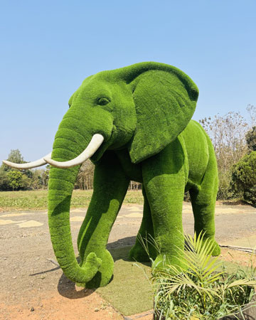 <p>Make a statement with unique and eye-catching topiary Sculptures. Our skilled artisans meticulously shape and maintain...</p><div class="elementor-button-wrapper"><a class="elementor-button elementor-button-link elementor-size-sm" href="https://kidsplayground.co.in/product-categories/topiary-sculptures/"><span class="elementor-button-content-wrapper"><span class="elementor-button-text">VIEW DETAILS</span></span></a></div>