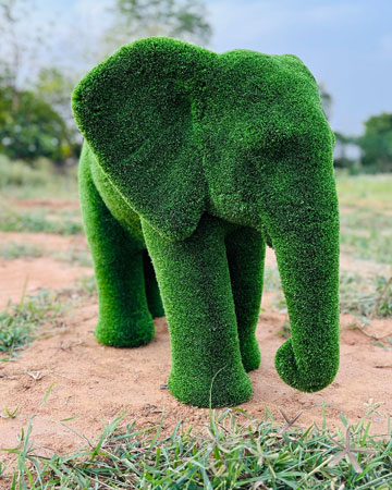 <p>Make a statement with unique and eye-catching topiary Sculptures. Our skilled artisans meticulously shape and maintain...</p><div class="elementor-button-wrapper"><a class="elementor-button elementor-button-link elementor-size-sm" href="https://kidsplayground.co.in/product/topiary-sculptures/"><span class="elementor-button-content-wrapper"><span class="elementor-button-text">VIEW DETAILS</span></span></a></div>